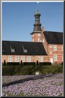 Krokusbl&uuml;te im Schlosspark von Husum
