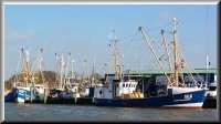 Im Hafen von Husum