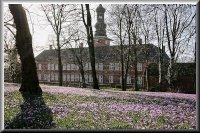 Krokusbl&uuml;te im Schlosspark von Husum