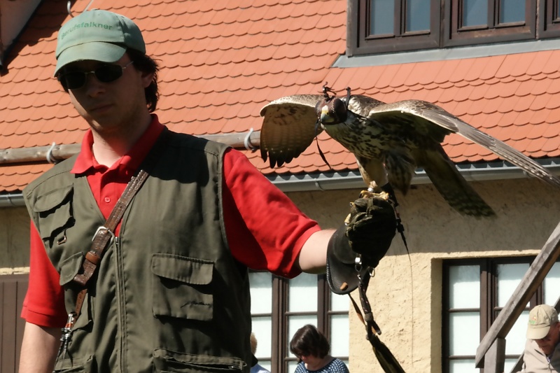 Burg Falkenstein im Harz