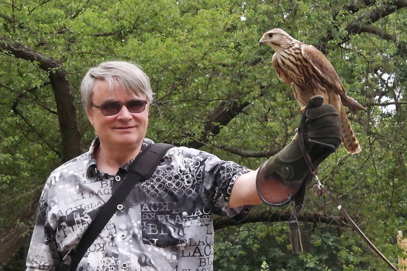 Greifv&ouml;gel in der Falknerei auf Burg Regenstein