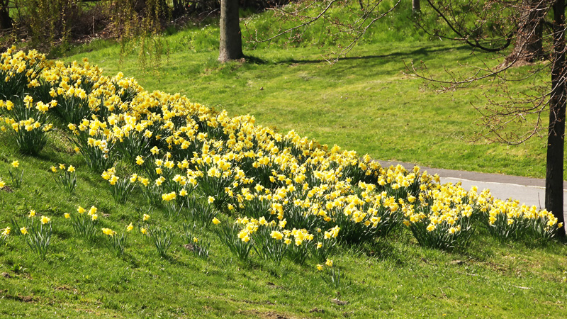 Ein Spaziergang in Goslar