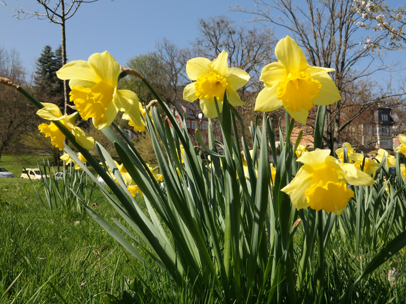 Ein Spaziergang in Goslar