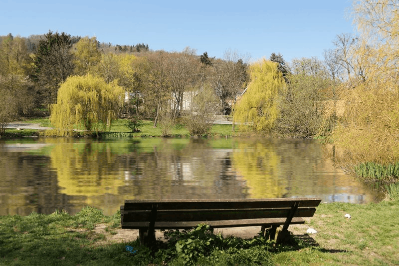 Ein Spaziergang in Goslar