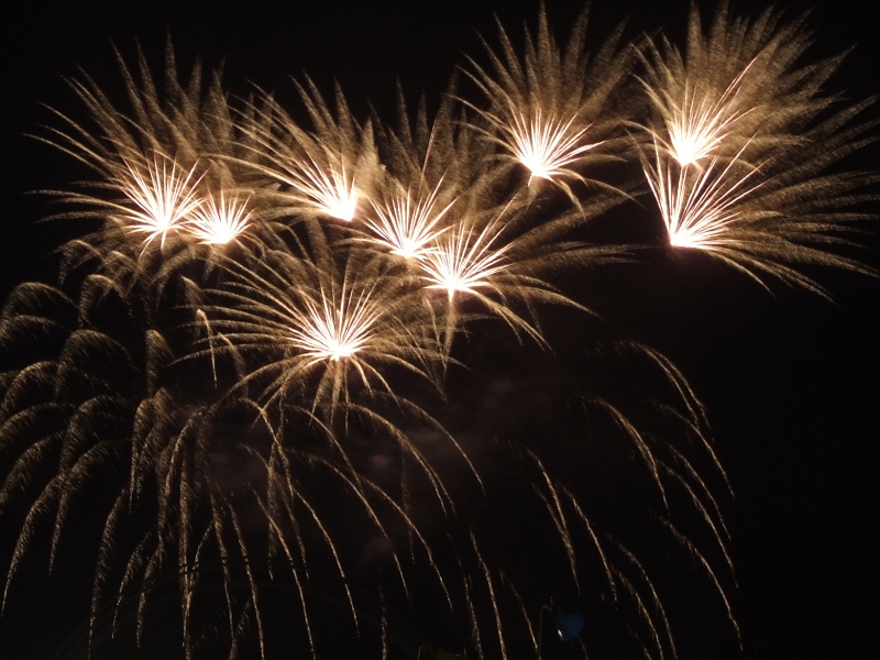 Feuerwerk beim Sch&uuml;tzenfest in Goslar