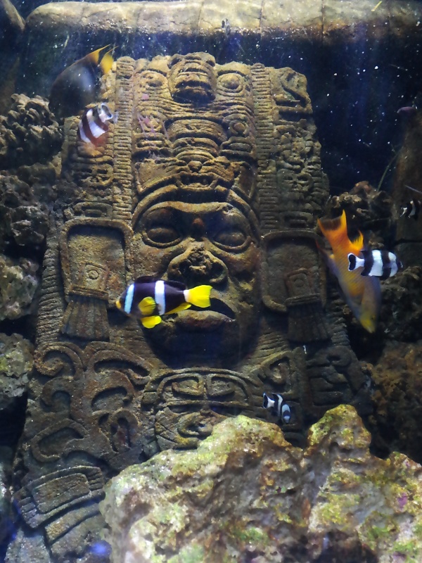 Herrenh&auml;user G&auml;rten und Sealife in Hannover