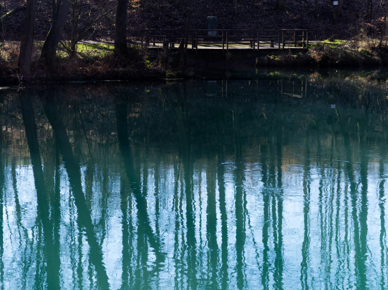 Die Rhumequelle am S&uuml;drand des Harzes