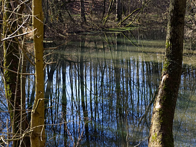Die Rhumequelle am S&uuml;drand des Harzes