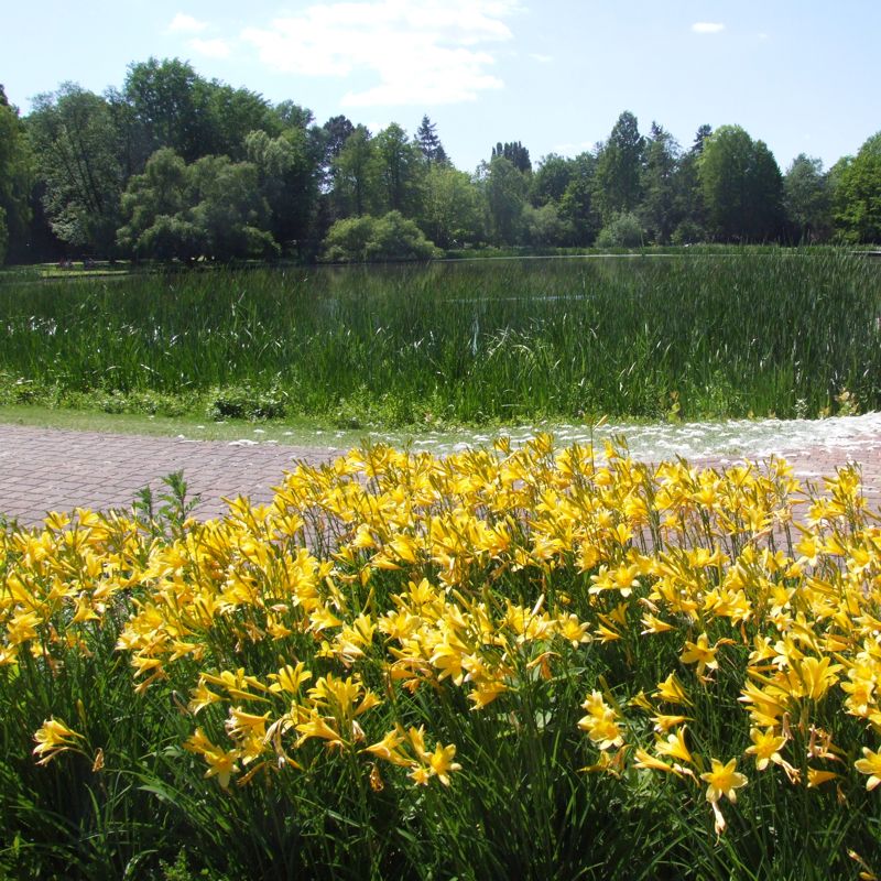 Im Schulgarten in Braunschweig