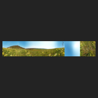 2021-04-28_Schluesselblumen_Liebenburg_preview.jpg