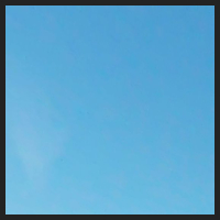 2021-04-28_Schluesselblumen_Liebenburg_t_1f_1_1.jpg