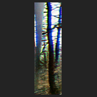 b1_4.jpg