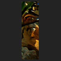b3_4.jpg