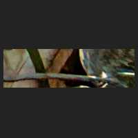 b4_3.jpg