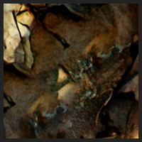 d0_3.jpg