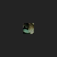 l1_1.jpg