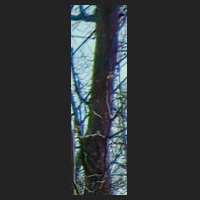 b0_4.jpg