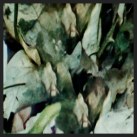 d0_2.jpg