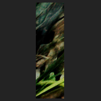 d0_4.jpg