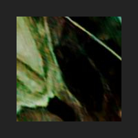 d4_4.jpg