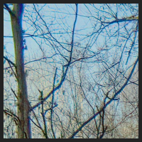 r0_0.jpg