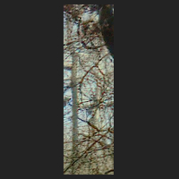 r0_4.jpg